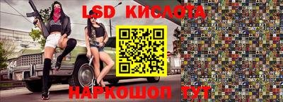 прущие грибы Сланцы