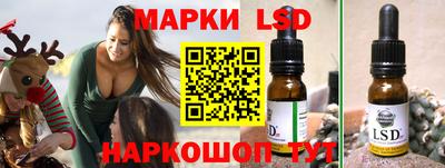 прущие грибы Сланцы