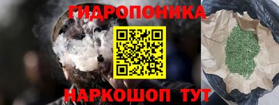 прущие грибы Сланцы