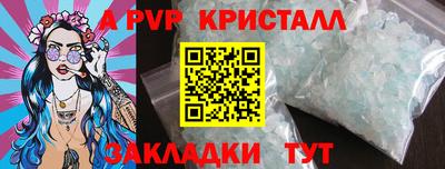 прущие грибы Сланцы