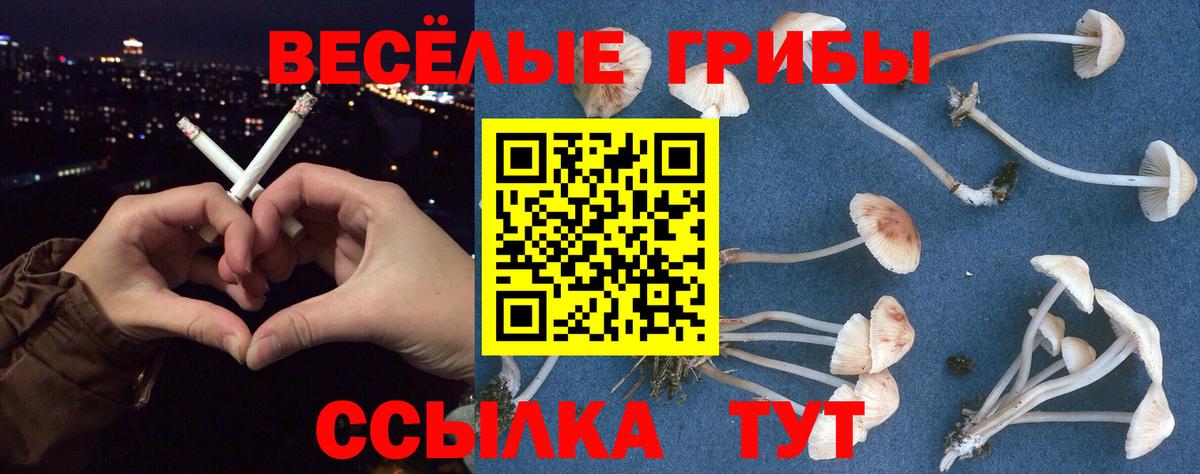 Галлюциногенные грибы Cubensis  Вход с VPN  Оренбург 