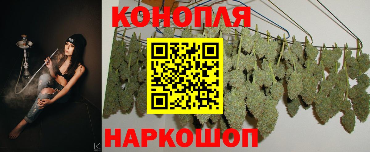 Бошки Шишки сатива Оренбург
